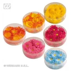 Flori decorative