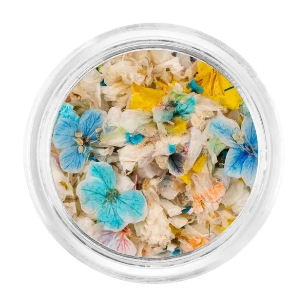 Flori Uscate Unghii LUXORISE - Pastel Vibe