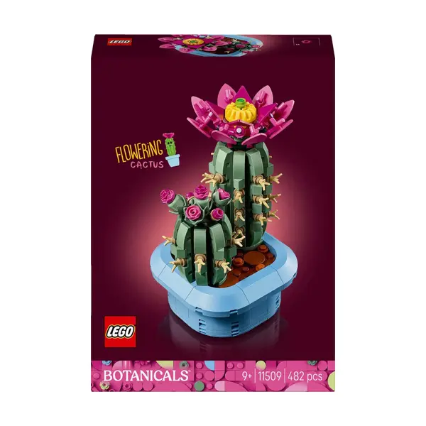 Flowering cactus 11509