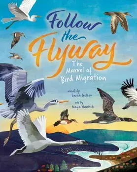 Follow the Flyway. The Marvel of Bird Migration, Paperback/Sarah Nelson