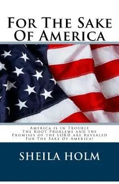 For The Sake Of America - Sheila Holm
