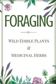 Foraging: A Beginner's Guide to Foraging Wild Edible Plants and Medicinal Herbs, Paperback/Jane Aniston