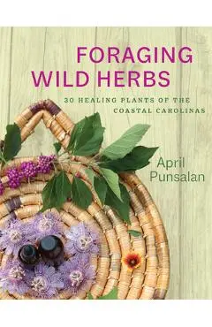 Foraging Wild Herbs: 30 Healing Plants of the Coastal Carolinas - April Punsalan