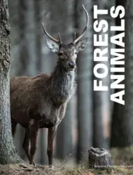 Forest Animals, Hardback/Julianna Photopoulos