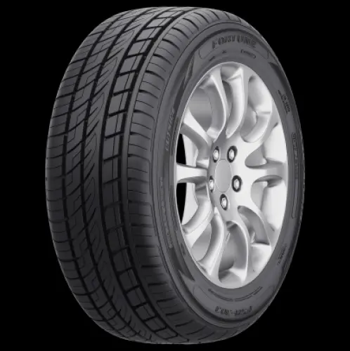 FORTUNE FSR-303 265/50R19 110Y FP