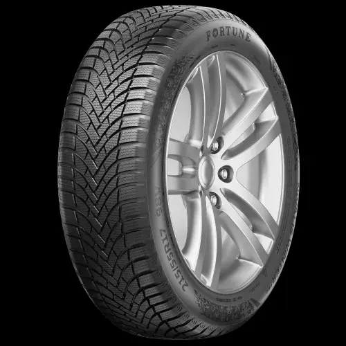 FORTUNE NIVALIS WINTER PRO 245/45R19 102V