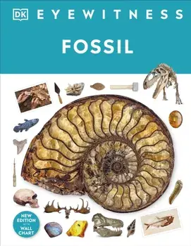 Fossil, Hardback/DK
