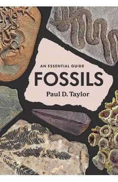 Fossils: An Essential Guide - Paul D. Taylor