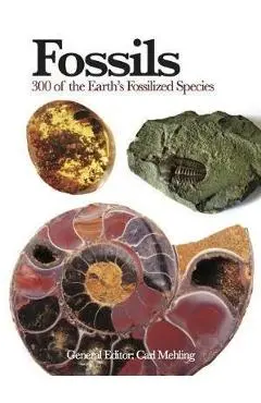 Fossils