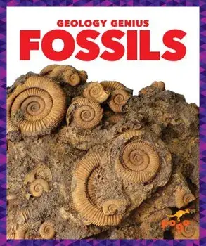 Fossils, Hardcover/Rebecca Pettiford
