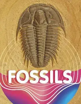 Fossils, Paperback/Keli Sipperley