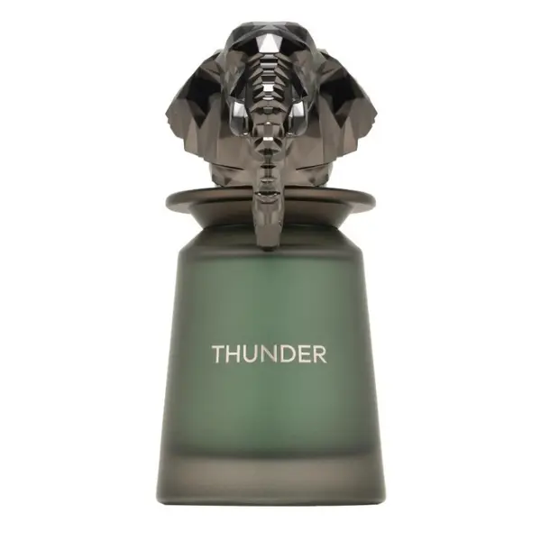 French Avenue Thunder Extract de parfum pentru Bărbați EDP Volum 100 ml