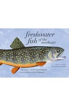 Freshwater Fish of the Northeast - Matt Patterson