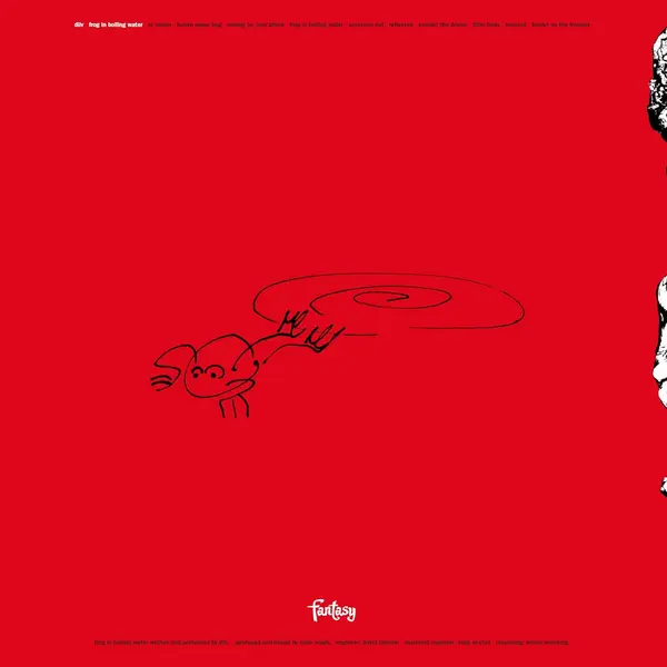 Frog In Boiling Water - Vinyl | DIIV