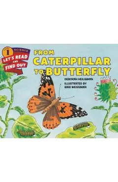 From Caterpillar to Butterfly - Deborah Heiligman