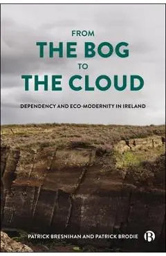 From the Bog to the Cloud: Dependency and Eco-Modernity in Ireland - Patrick Bresnihan
