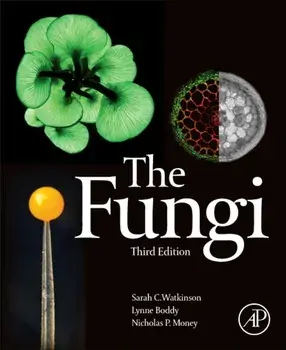 Fungi, Paperback/Lynne Boddy
