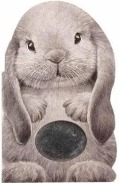 Furry Bunny