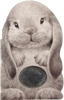 Furry Bunny, Hardcover/Annie Auerbach