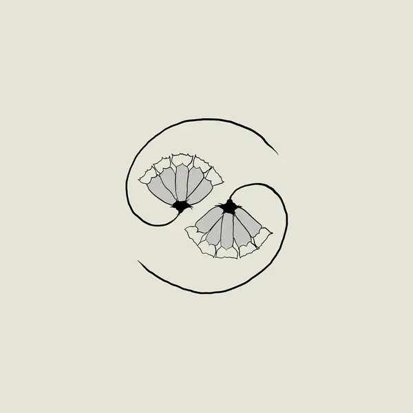 G_d's Pee At State's End! (Vinyl 12" + Vinyl 10") | Godspeed You! Black Emperor
