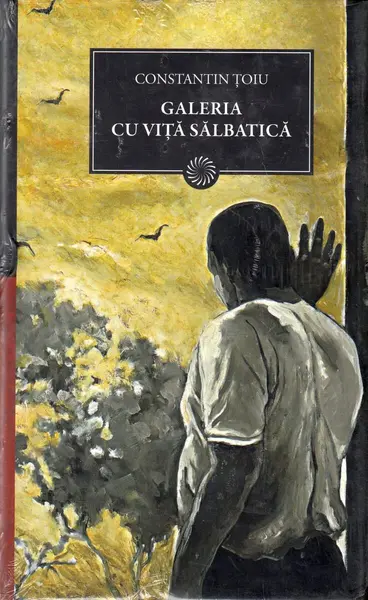 Galeria cu viță sălbatică - Constantin Țoiu