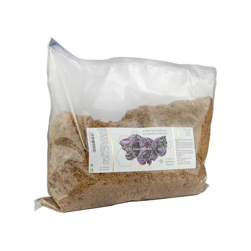 Ganoderma Lucidum, vrac 500g | AquaNano
