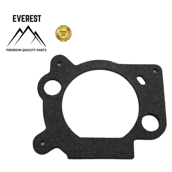 Garnitura Carburator (Aer) Briggs&stratton Ohv Everest