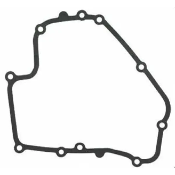 Garnitura Carter Briggs&stratton Dov 793445
