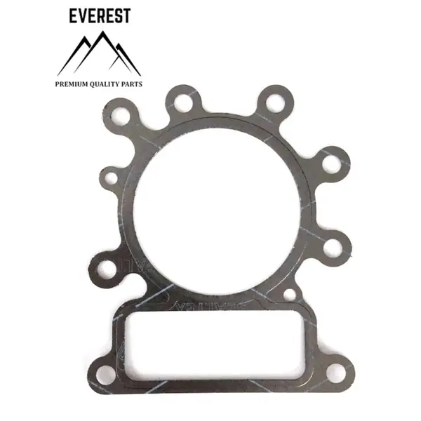 Garnitura Chiuloasa Briggs&stratton 10km-14km Ohv Avs Everest