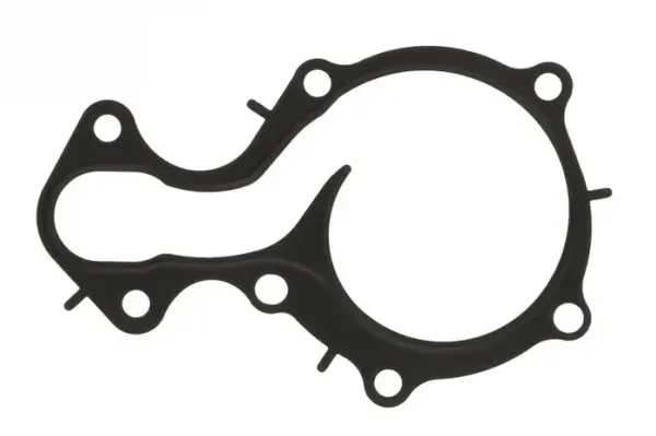 Garnitura pompa apa potrivit FORD B-MAX, C-MAX II, ECOSPORT, FIESTA VI, FIESTA VII, FOCUS III, FOCUS III HATCHBACK, FOCUS III KOMBI, FOCUS IV, GRAND C-MAX, MONDEO V 1.0-1.1LPG 02.12-
