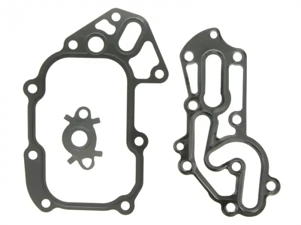 Garnitura radiator ulei (set) potrivit MULTICAR FUMO F1CE0481F 09.06-