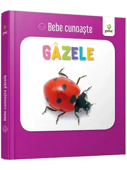 Gazele/***