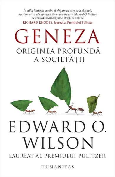 Geneza. Originea profundă a societății