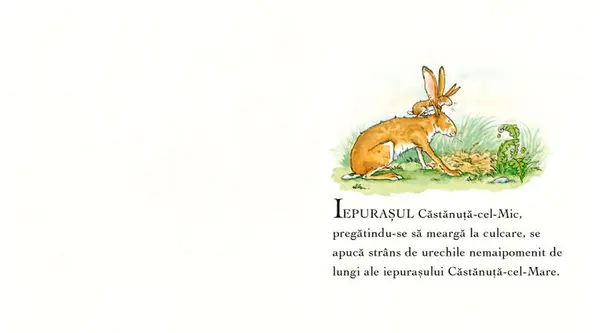 Ghici cat de mult te iubesc | Sam Mcbratney