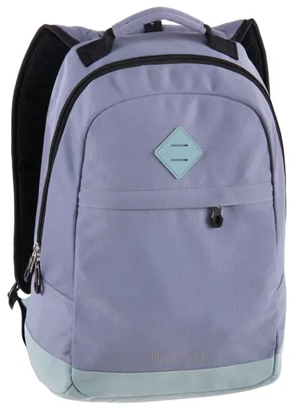 Ghiozdan școlar Pulse Bicolor - Frost Blue