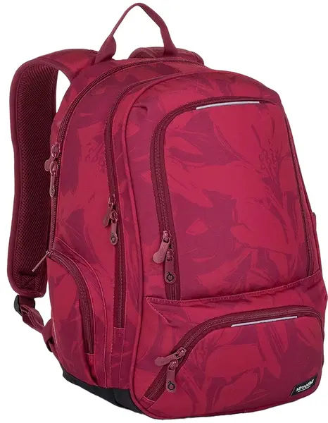 Ghiozdan Topgal Suri - 23022, 2 compartimente, 27 l