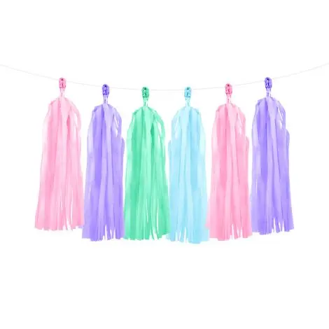 Ghirlanda franjuri multicolor