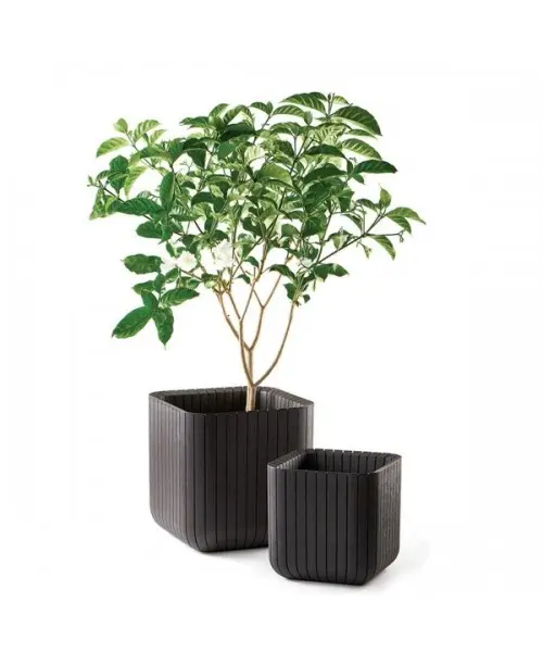 Ghiveci Cube Planter M Antracit
