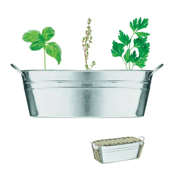 Ghiveci din zinc cu seminte Ghiveci din zinc cu seminte
