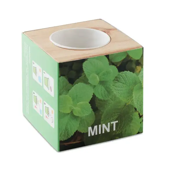 Ghiveci lemn MINT Ghiveci lemn `MINT`