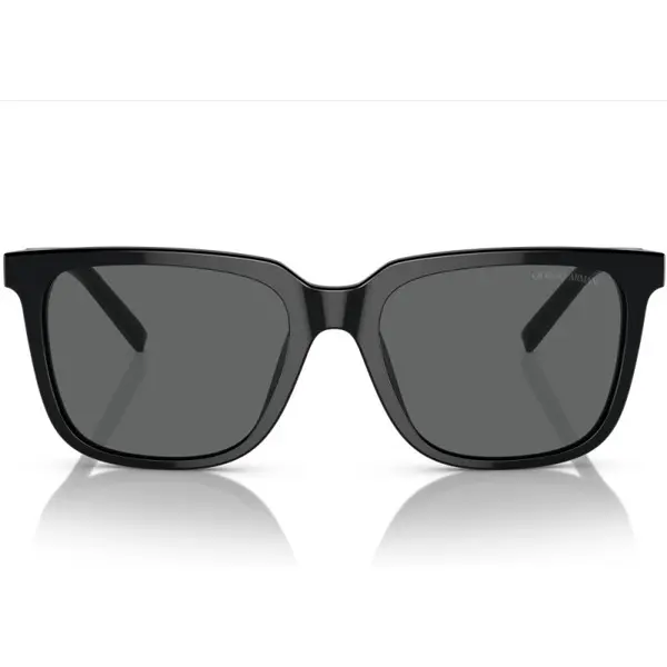 Giorgio Armani AR8202U 587587 55