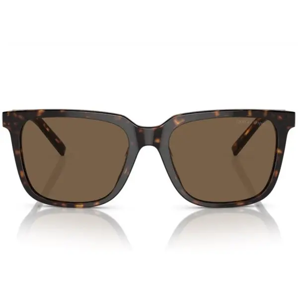Giorgio Armani AR8202U 587973 55