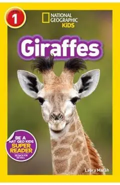 Giraffes - Laura Marsh