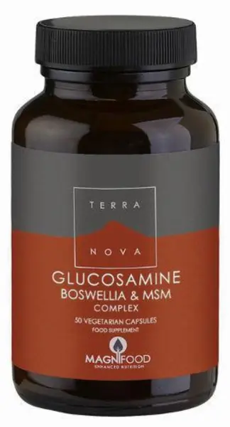 Glucosamine, Boswellia & MSM Complex, 50 capsule, Terra Nova