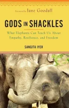 Gods in Shackles. What Elephants Can Teach Us About Empathy, Resilience and Freedom, Paperback/Sangita Iyer