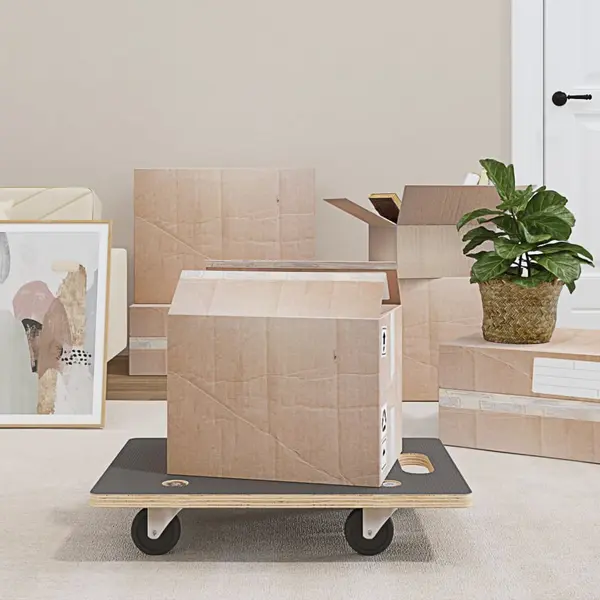 Gossi carucioare transport 2 buc dreptunghiulare 60x40x11,5 cm 250 kg