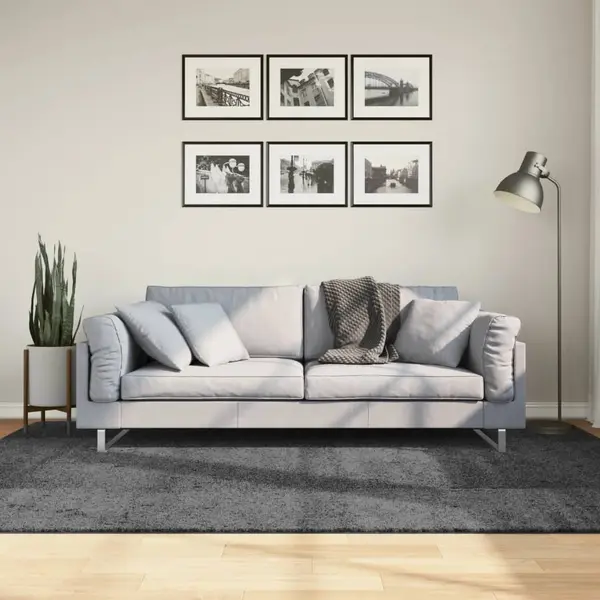 Gossi covor „oviedo”, fire scurte, antracit, 160x230 cm