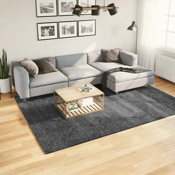 Gossi covor „oviedo”, fire scurte, antracit, 200x280 cm
