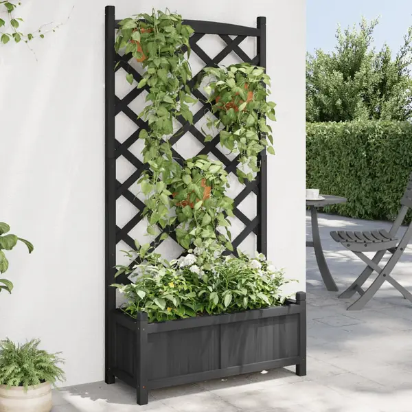 Gossi jardiniera cu spalier, negru, lemn masiv de brad