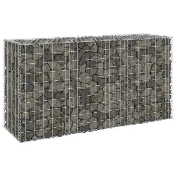 Gossi perete gabion cu capace, 200 x 60 x 100 cm, otel galvanizat